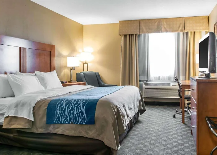 Comfort Inn&Suites Napoleon