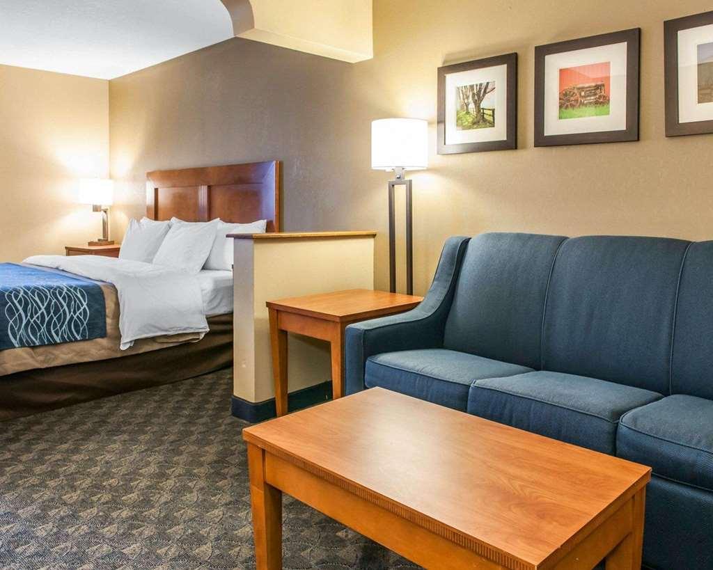 Hotel Comfort Inn&suites Napoleon